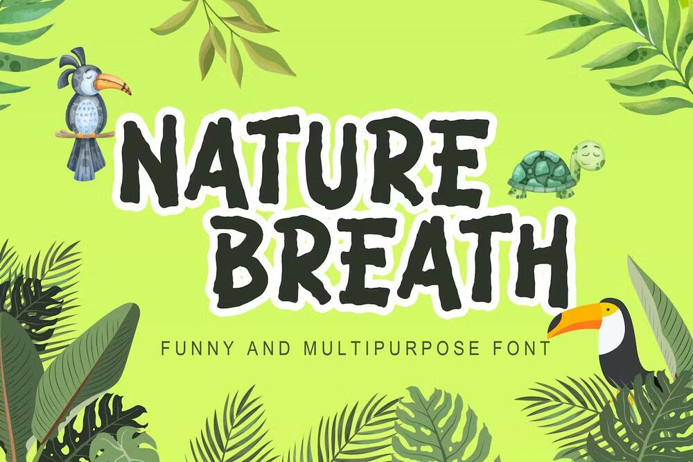A funny and multipurpose font