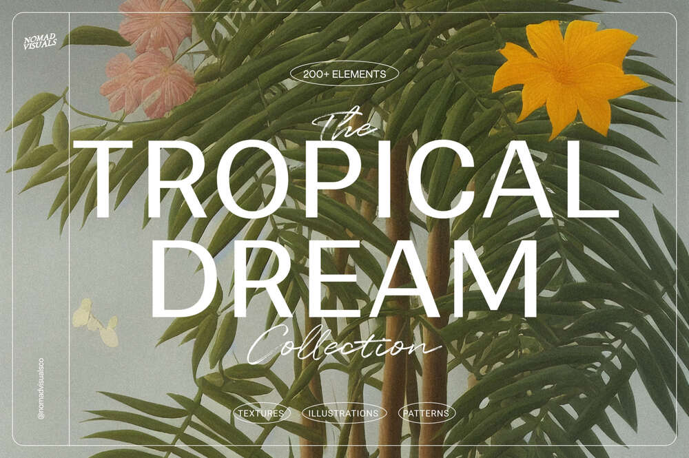 A tropical drem patterns and illustrations
