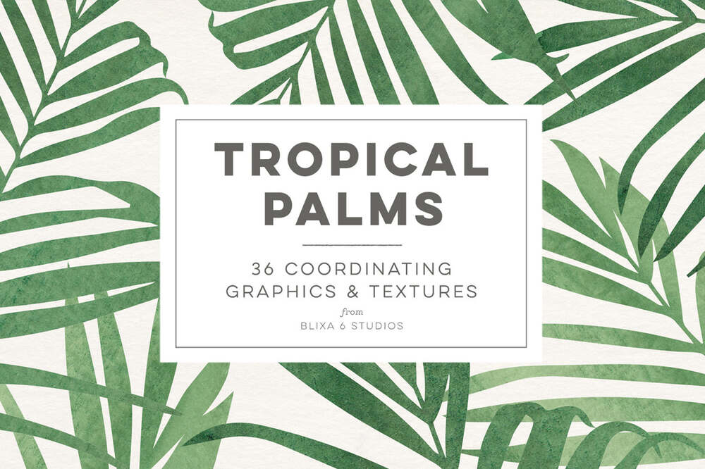 A tropical palms graphics and textures