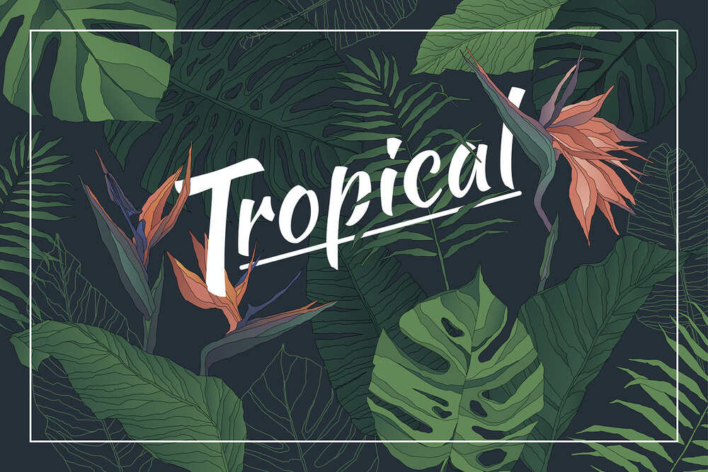 A tropical set of patterns and elements