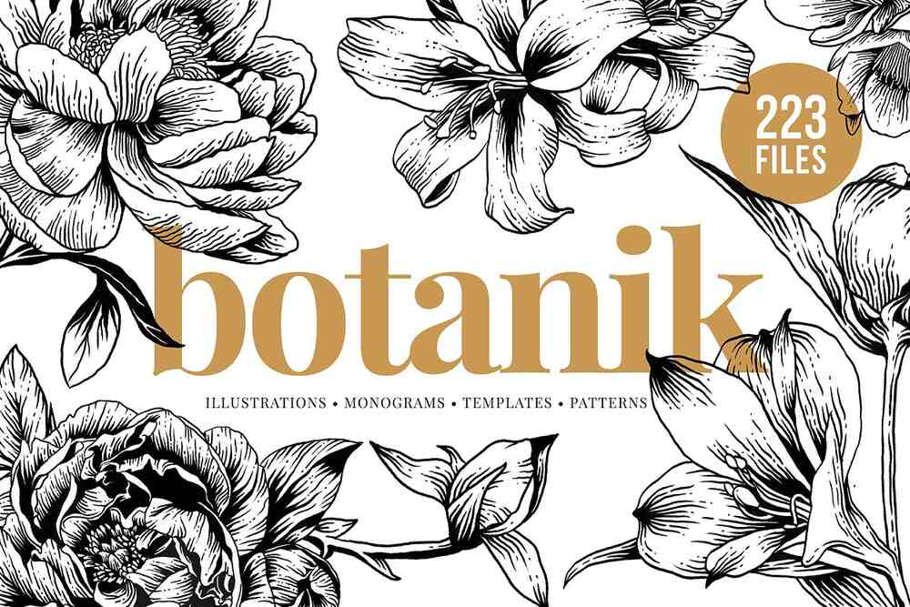 A hand painted botanical illustrations
