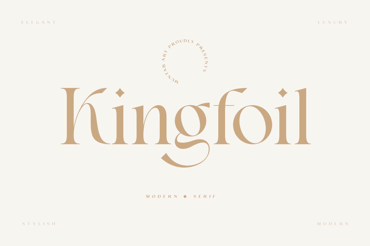 A modern and clean serif font