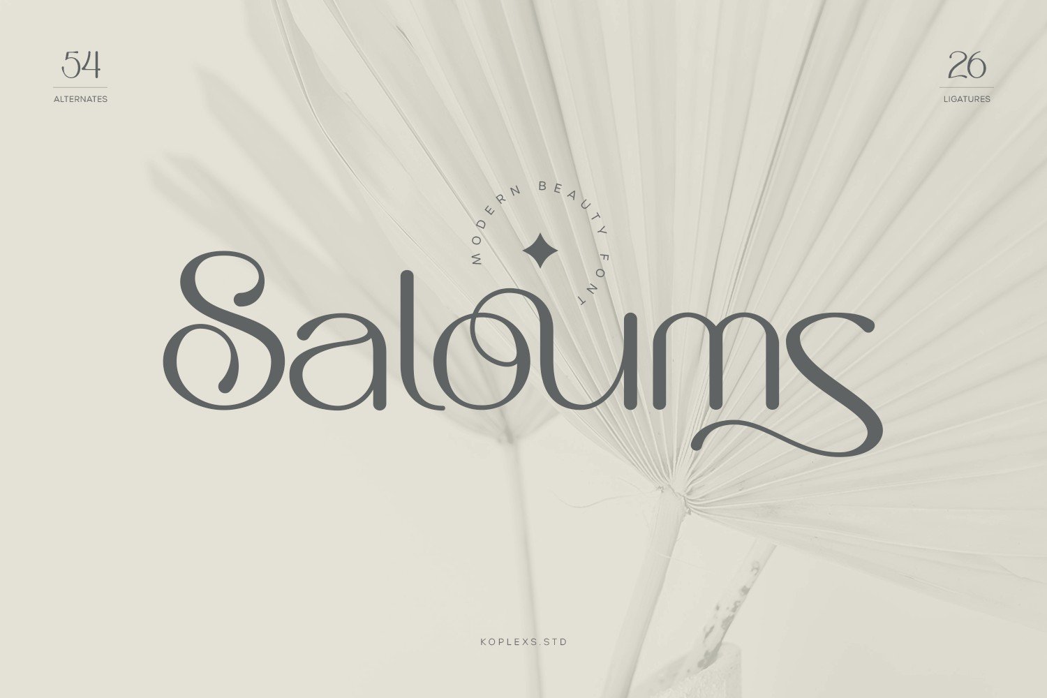 A modern beauty font