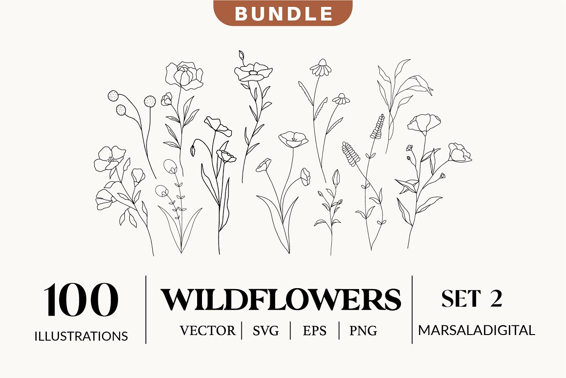 A set of wildflowers line art botanicals