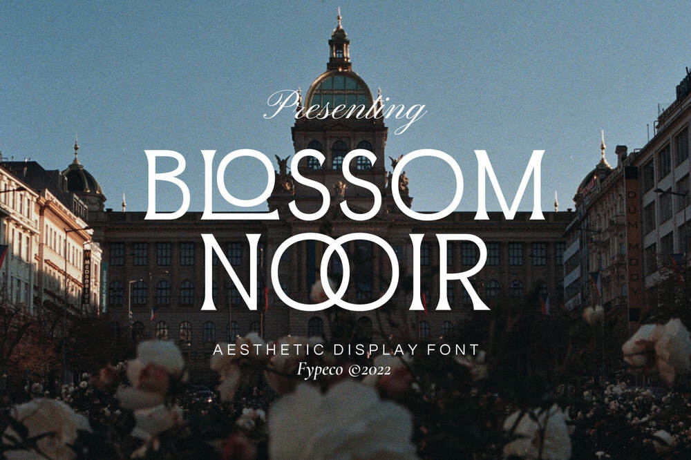 An aesthetic display font