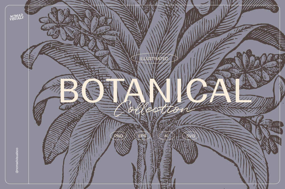 A botanical illustrations collection