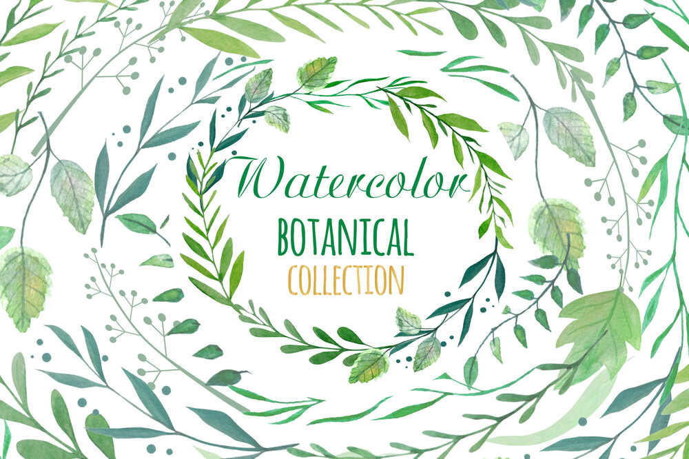 A watercolor botanical collection