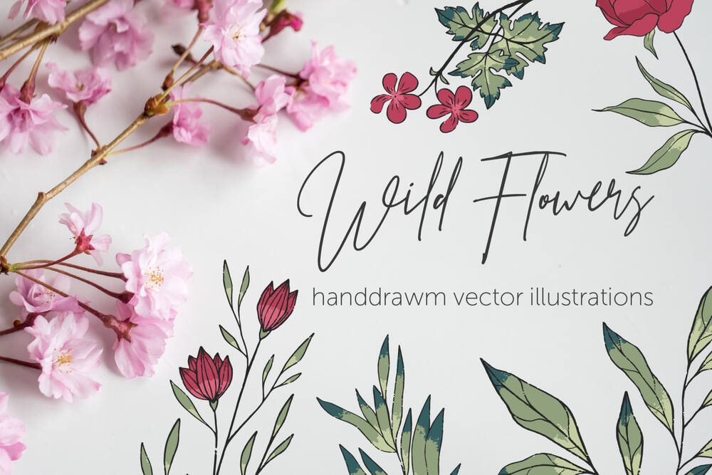 A set of wild flowes vector illustrations