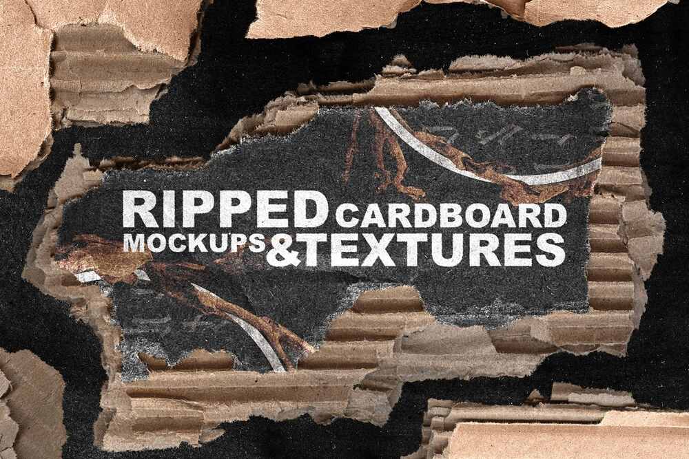 A ripped cardboard pack