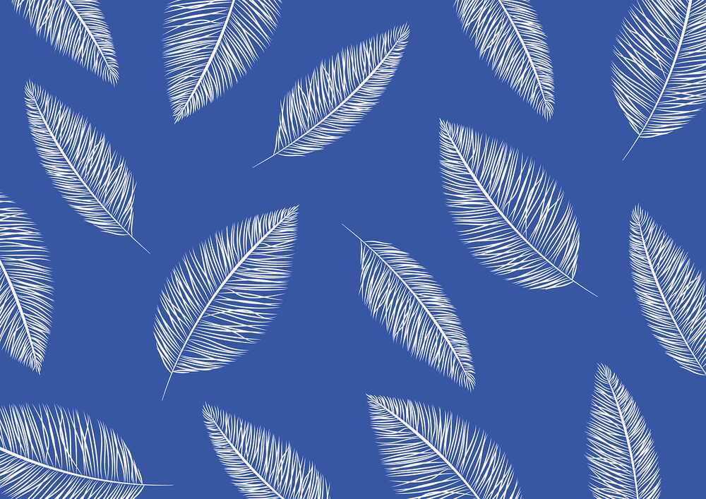 A feathers on blue background