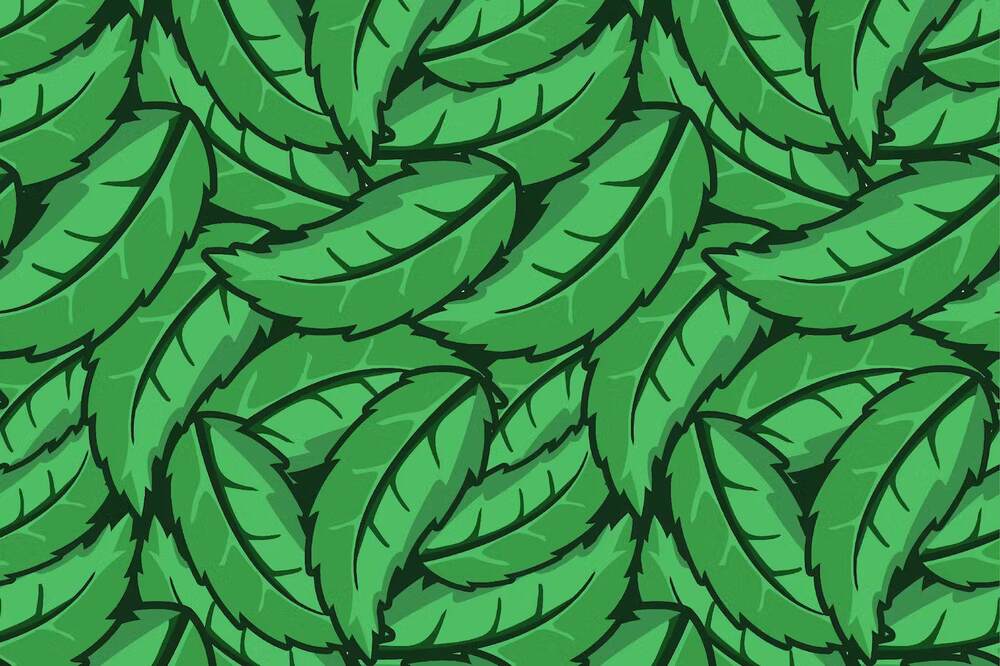 A green leaf feather seamless pattern