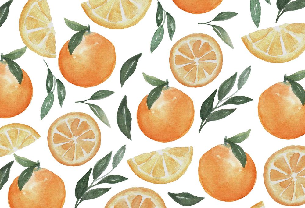 A free orange fruit watercolor clipart