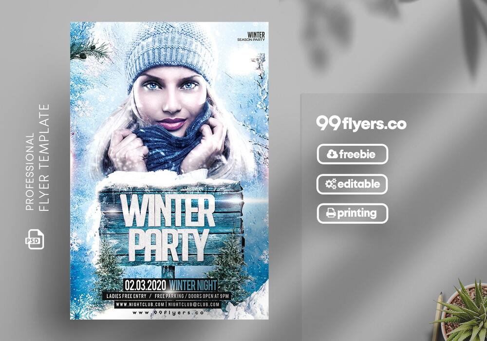 A free winter party flyer template