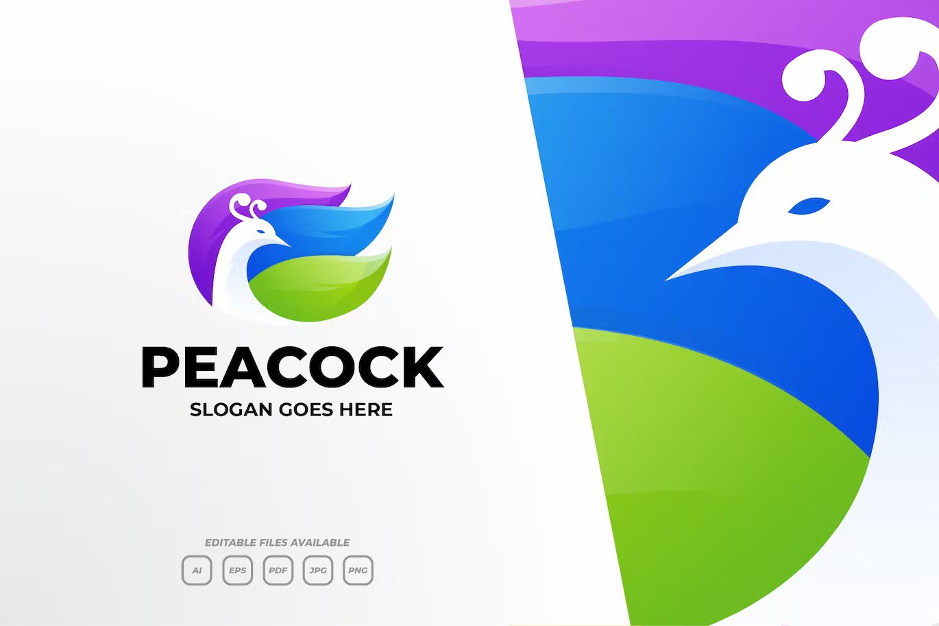 A modern peacock gradient logo