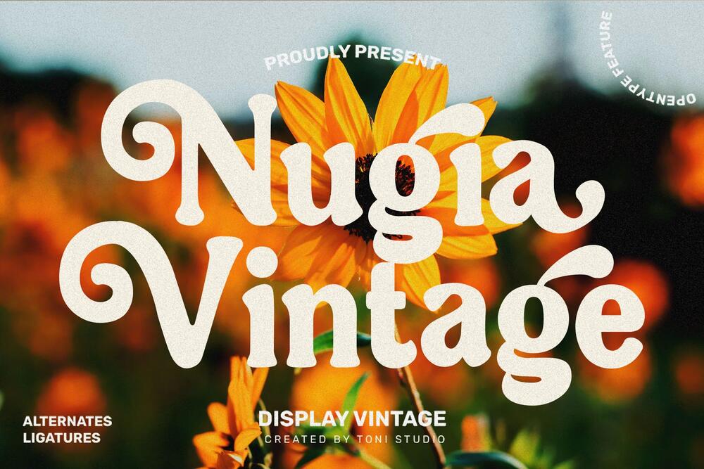 A free vintage display font