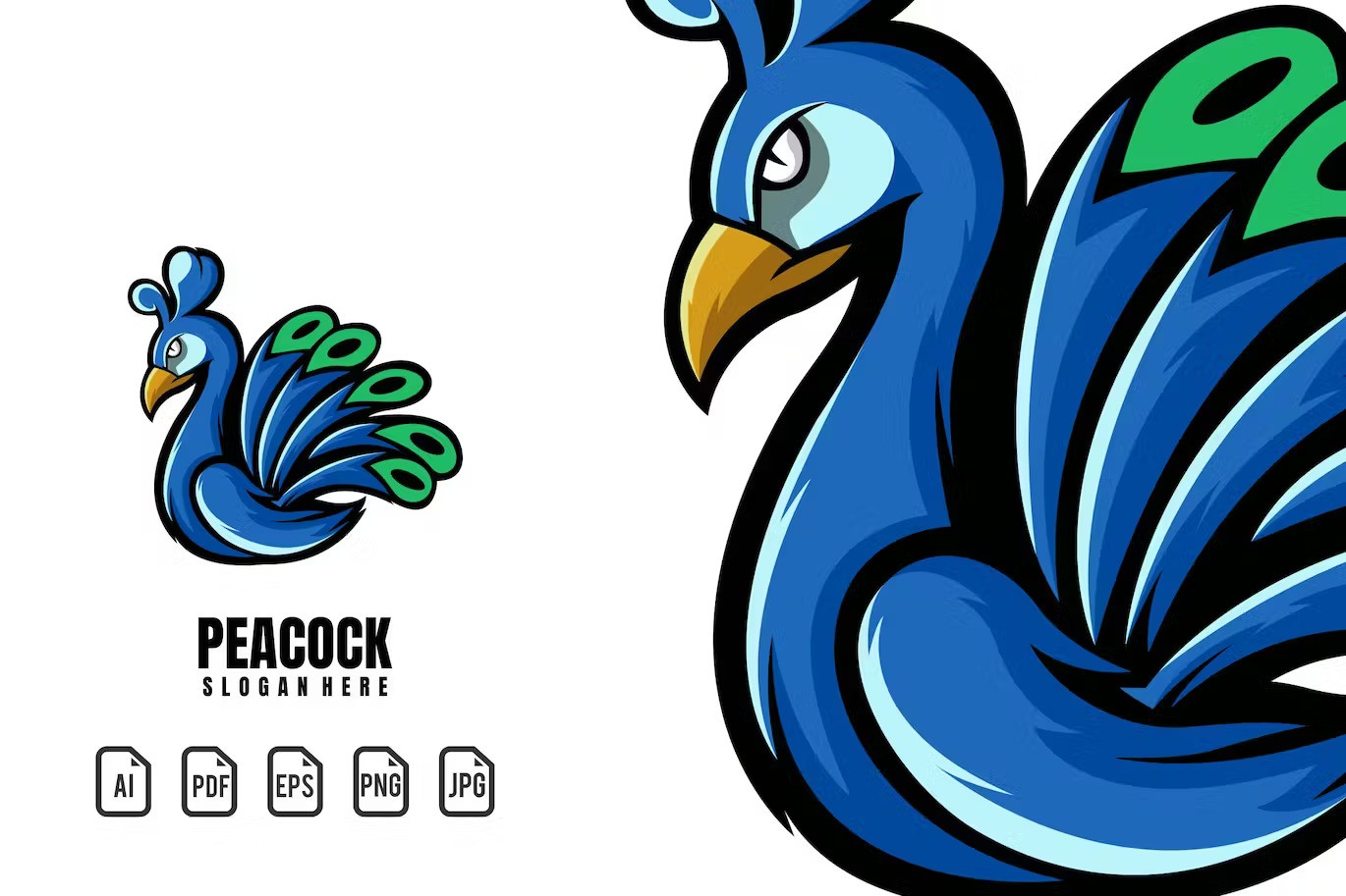 A peacock mascot logo template