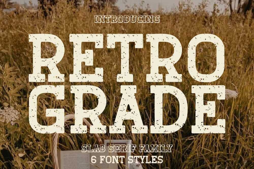 A slab serif family