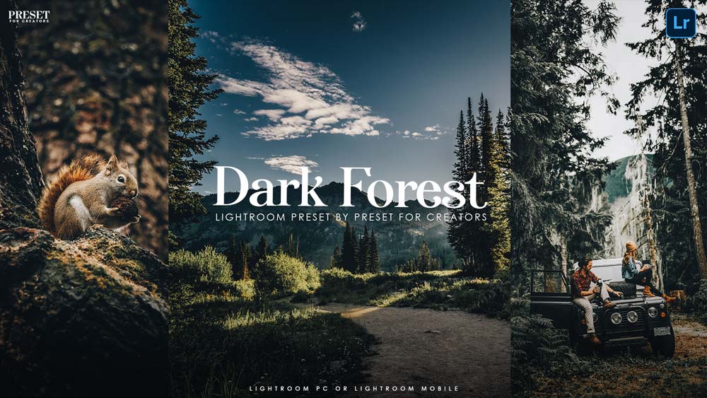 A dark forest lightroom presets grading effects
